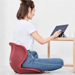 پشتی بالشتک صندلی قابل حمل شیائومی Xiaomi Youpin Portable Seat Cushion Protection LB-HS003