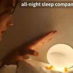 چراغ خواب فانتزی اتاق کودک اردک مخفی PP duck night lamp F-l-05