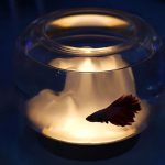 چراغ خواب فانتزی رومیزی شارژی Warm Mountain Lamp Simple Night Light Small Warm Lamp Creative